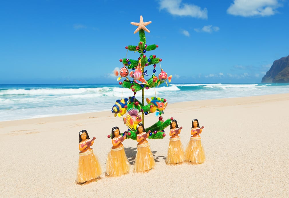 Coastal Auto Shipping Celebrates Christmas In Hawaii - Featured Image